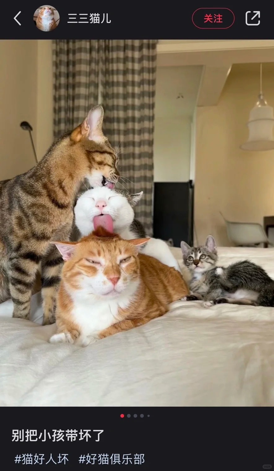 可以画下你的小猫吗·六
徐志胜老师dbq 感觉黄色那位长得有点像你