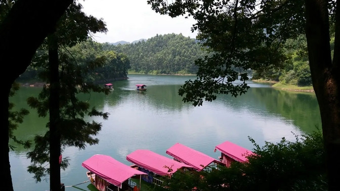 时光的剪影：生活中的惊叹与沉吟