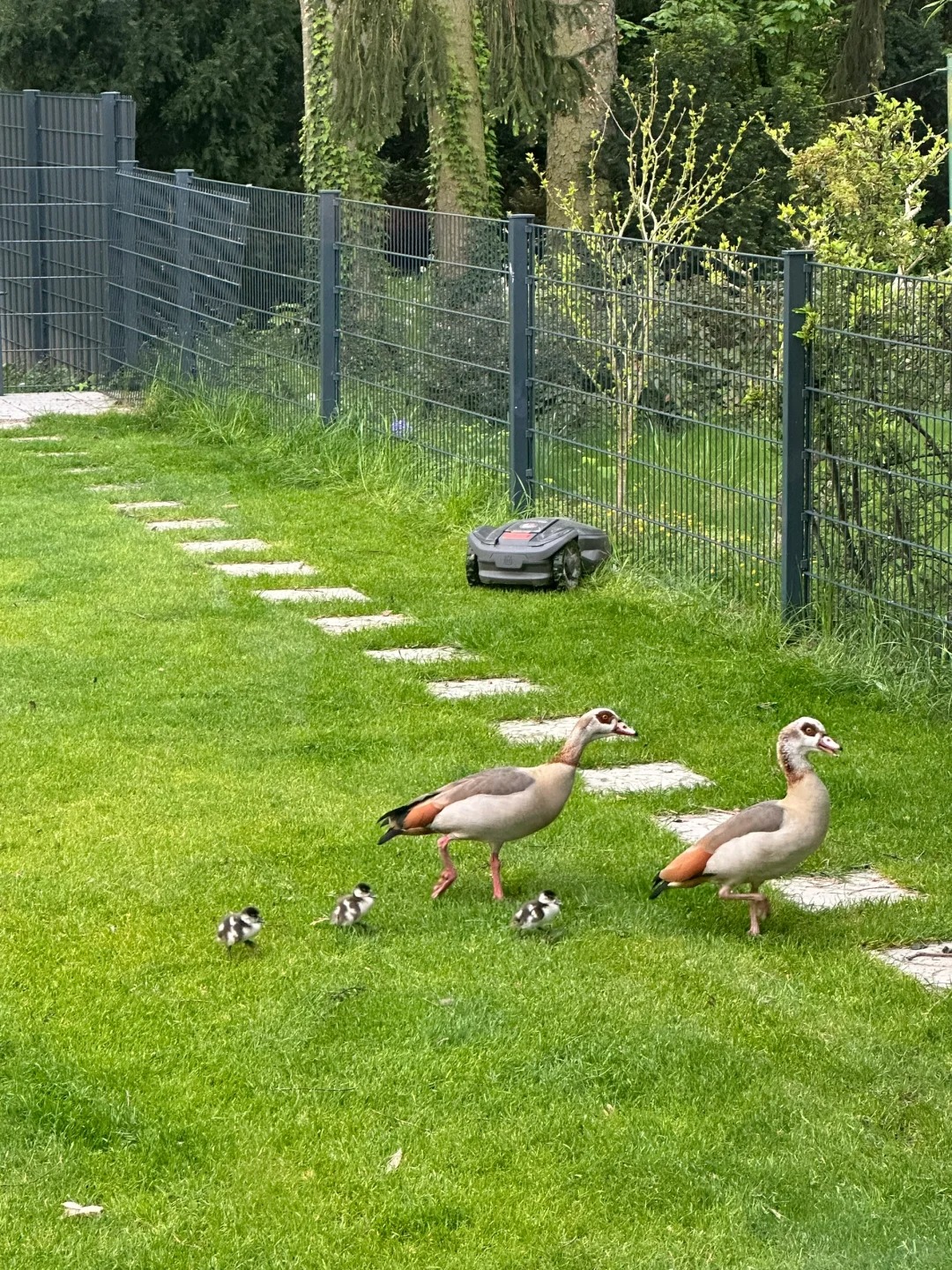 求助🇩🇪怎么办啊啊 （👮帮忙已解决）
更新 ：🆘Stadtpolizei