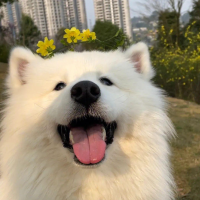 墨香四溢书中人