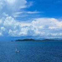 大海海豚笔记