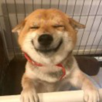 周周爆富