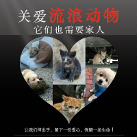 动物伊甸园故事