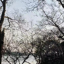 科技鲨