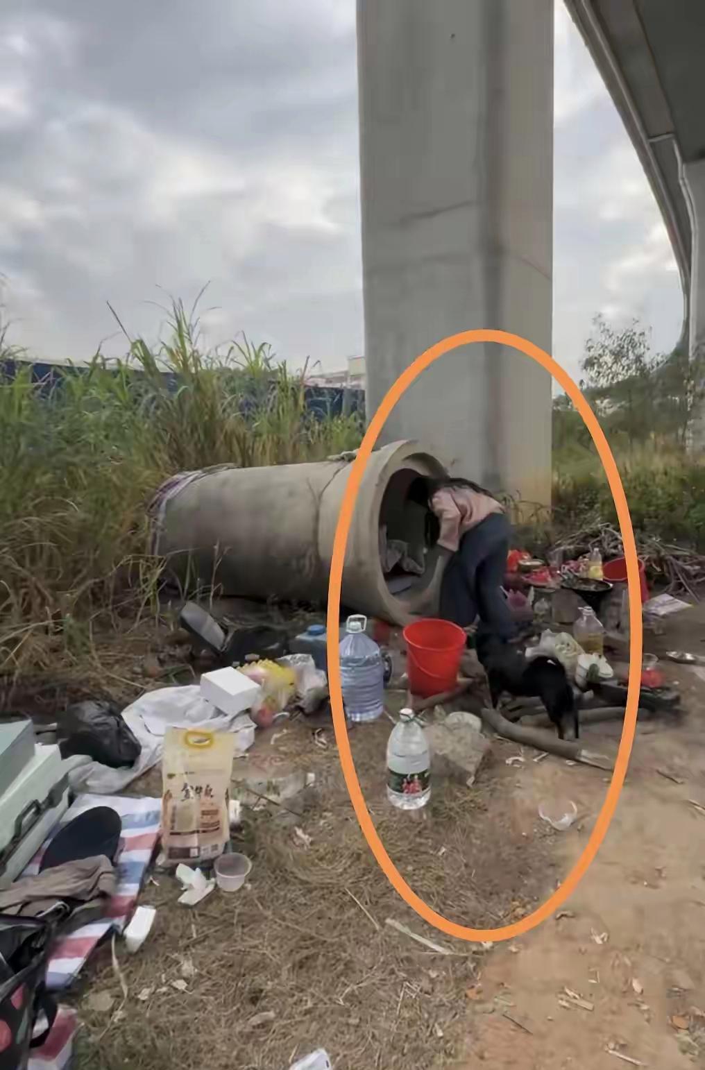 真的是无家可归吗？太可怜了！[可怜]






