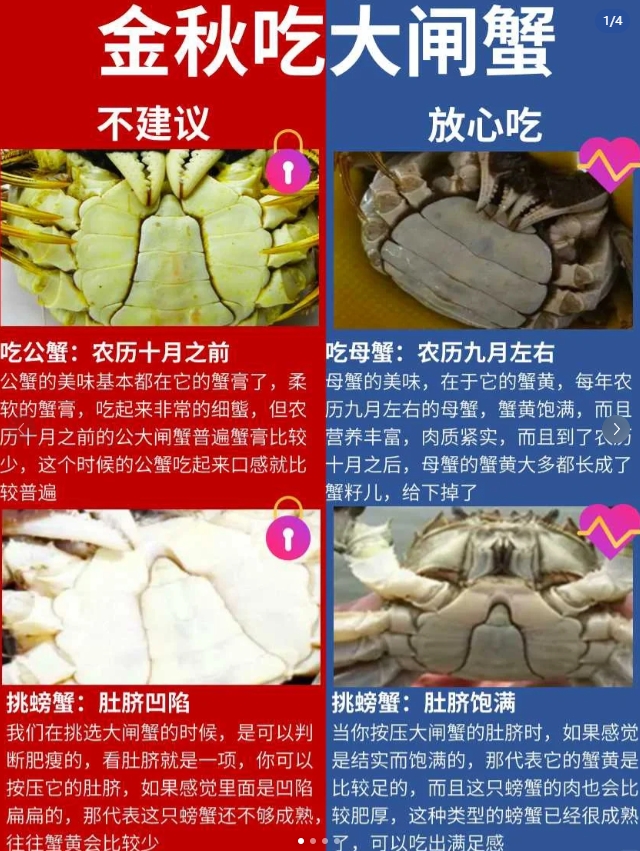 一、金秋吃大闸蟹，6条不建议
1-吃公蟹：农历十月之前
2-挑螃蟹：肚脐凹陷
3