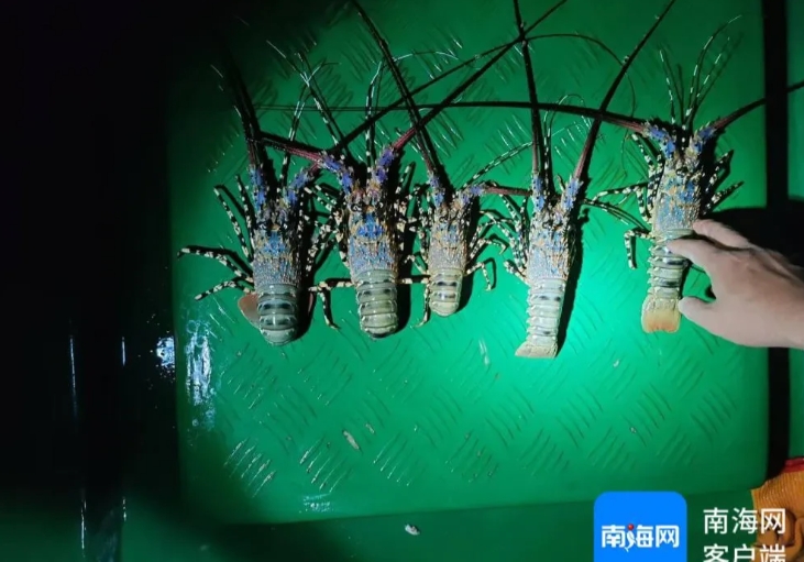 海南三亚，三男子开着船在海里捕鱼，结果却遇到警方登船检查，经过一番清点，发现仅仅