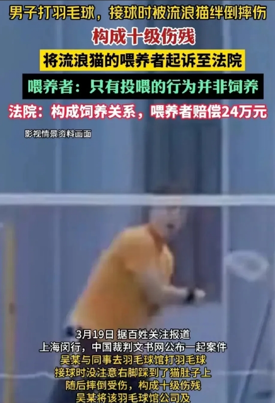 上海，一男子出于爱心和善良，经常投喂流浪猫。不料，一名羽毛球爱好者在羽毛球馆打羽