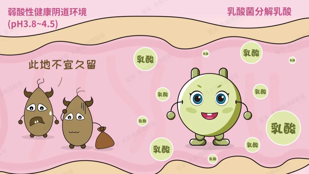阴道微生态之生殖道感染滴虫性阴道炎——预防篇
