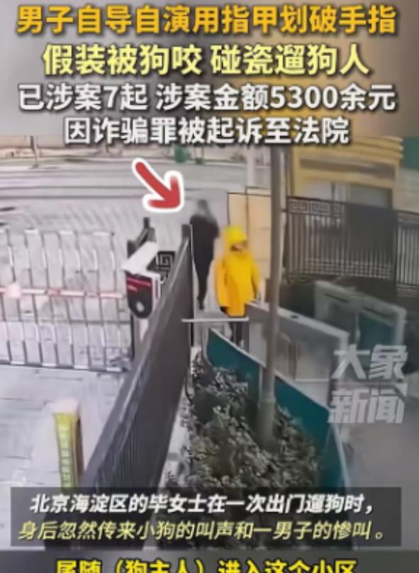现在碰瓷又碰出新高度了，女子遛完狗走进小区，没注意身后还尾随着一名拿着塑料袋的男