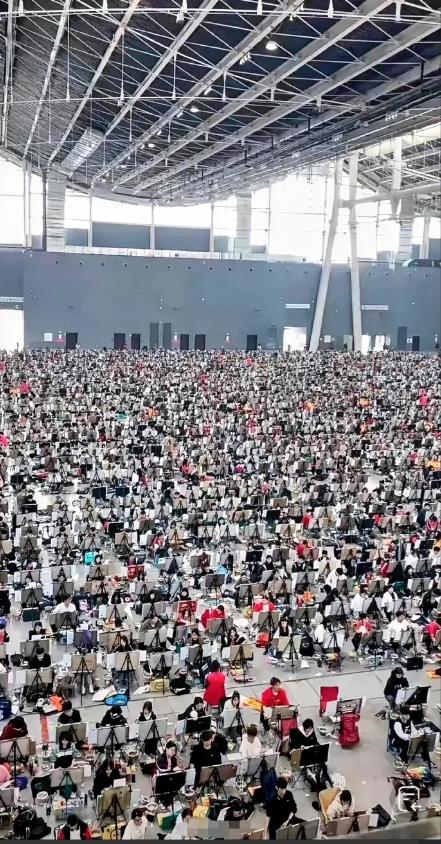 以后他们她们就业方向是什么