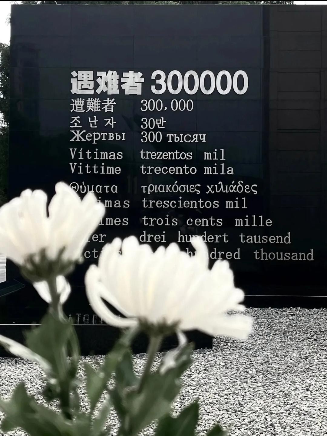2004年在南京出差时，在旧书店无意中翻到一本鬼子写的回忆录，说的是远东战俘在西