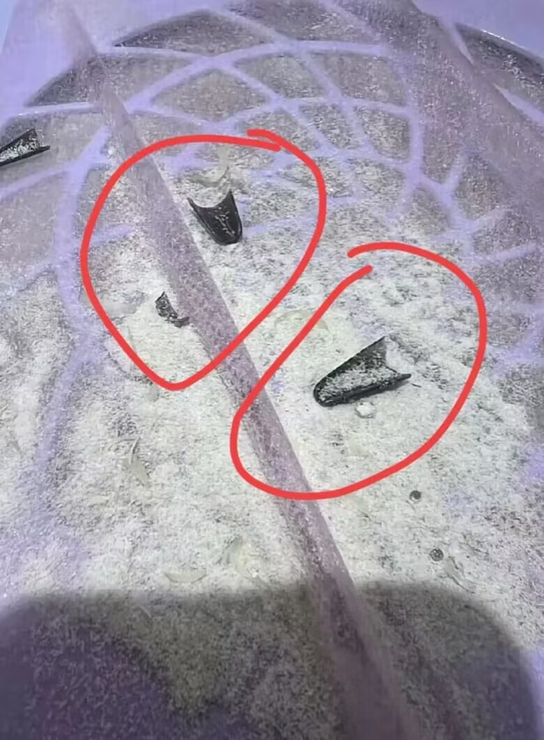 闺蜜在银行上班，昨天特意花20块钱卸掉美甲的甲片，因为她们行里不允许戴美甲工作。