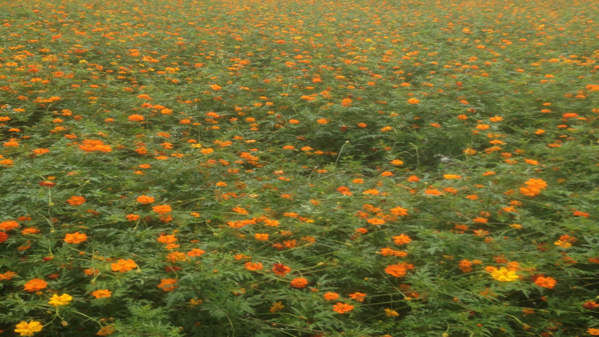 班主任那些事：高中第一次班干部会议说什么