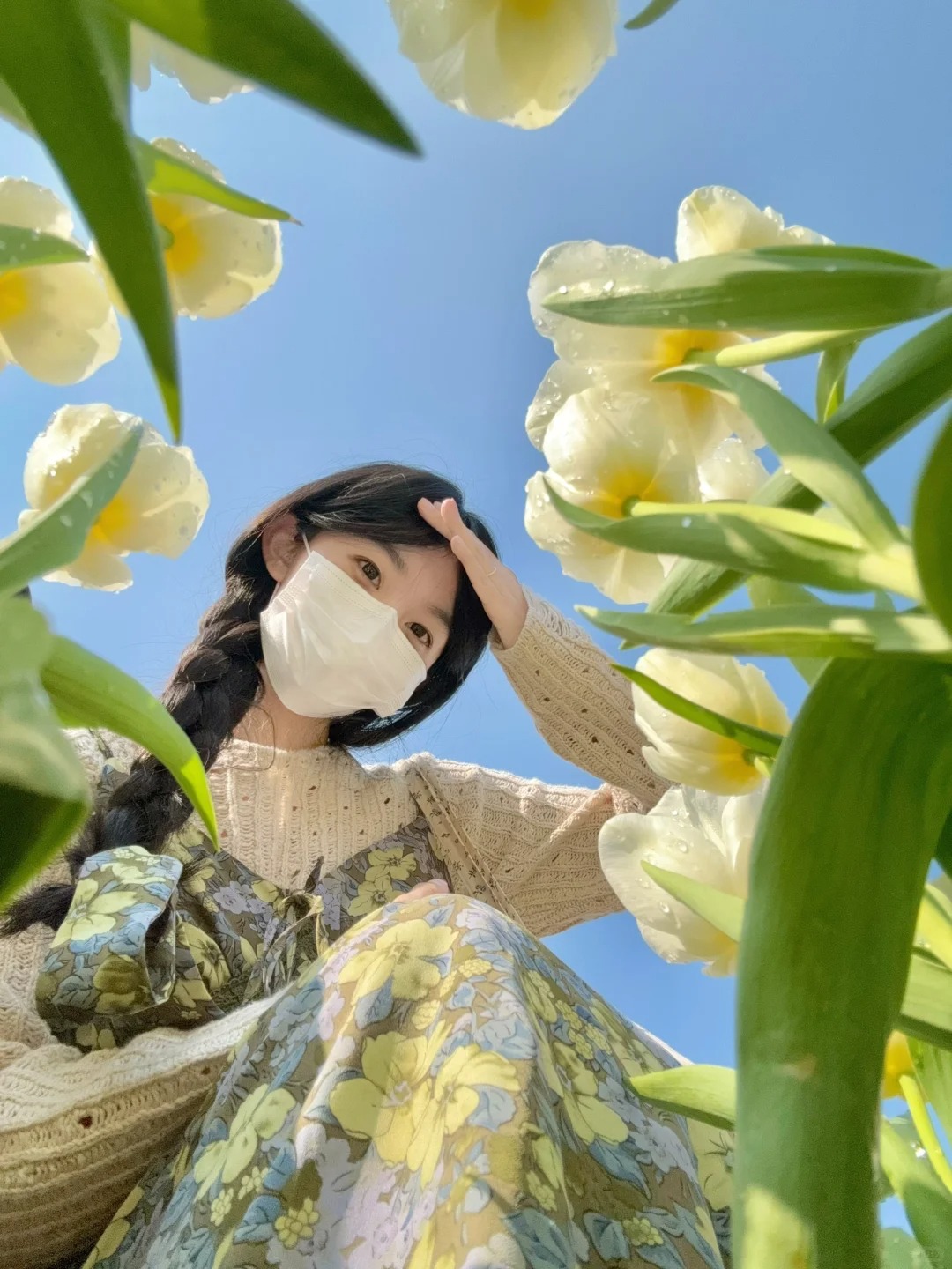 郁金香这样拍真的超好看！