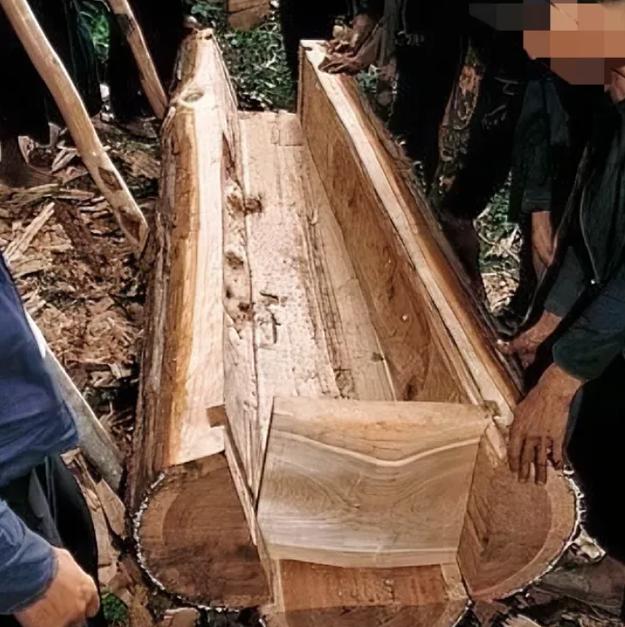 贵州清镇，6旬大叔为了给自己提前准备好棺木，到山上砍伐了村集体所有的17株杉树，