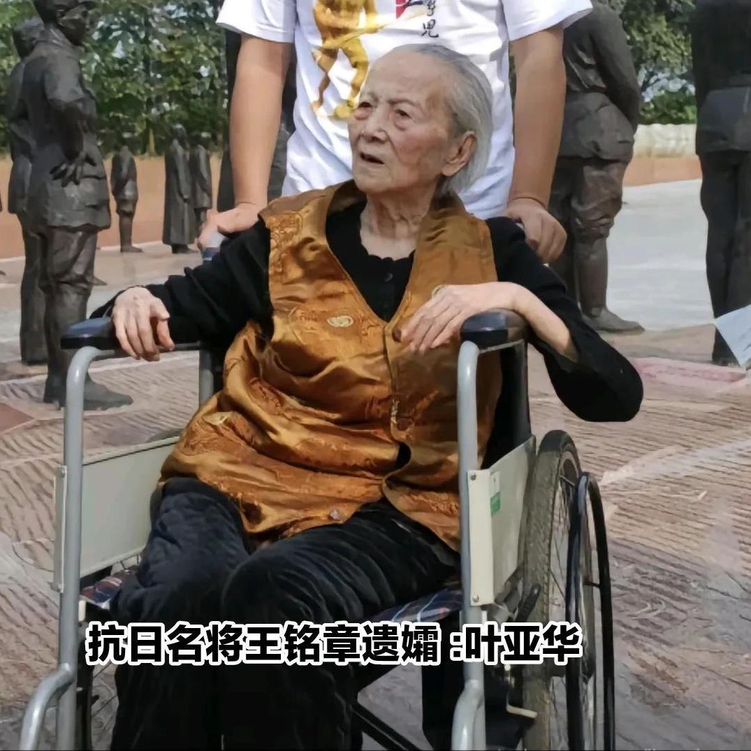 图片是2010年，这是抗日名将王铭章遗孀叶亚华已是百岁高龄，这也是她最后一次来到