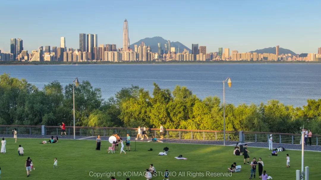 如果只在深圳待一天，这条City Walk路线强烈安利给你！