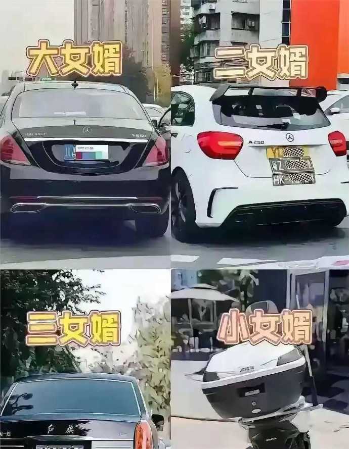 看车的话，这四个女婿谁最强？ ​​​