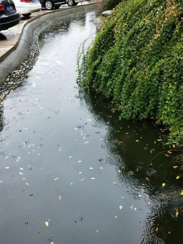 河南这是咋的，龙王是要给河南喝饱吗？
前段时间，河南出现大旱的天气，每天都去炕旱