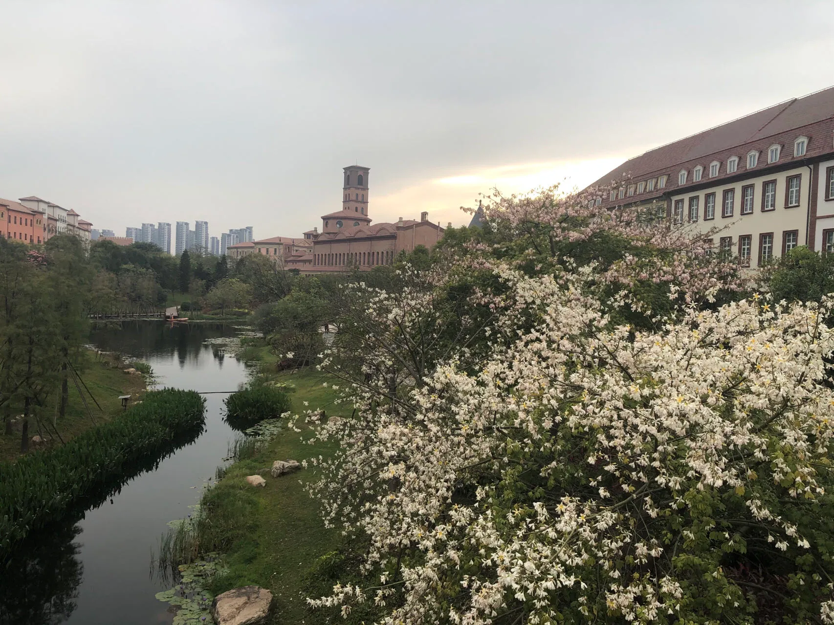 华为抱了本《山海经》注册了:麒麟、玄武、鸿蒙、巴龙、朱雀、饕、白虎，等等……
比