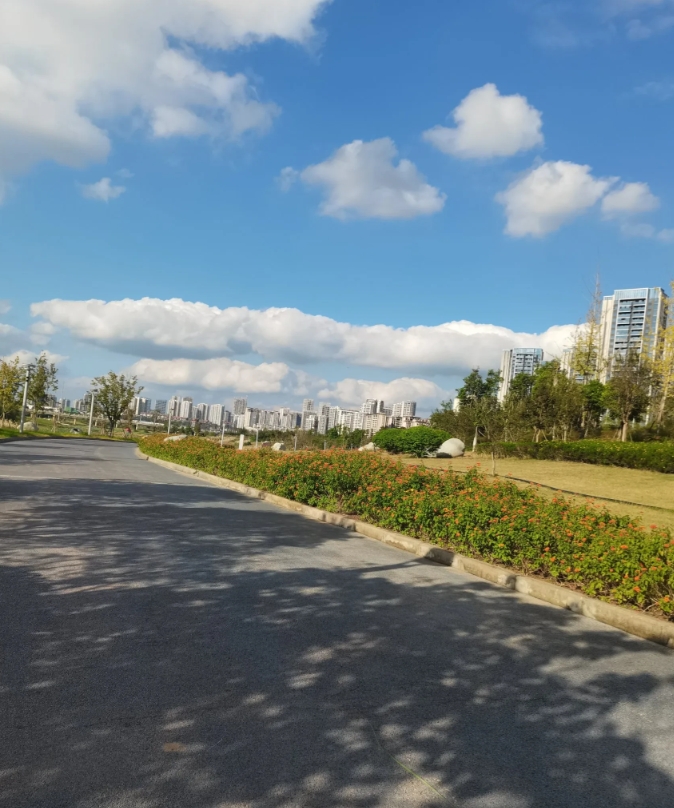 前几天说起去年回婆家过年的事，我随口说了一句，以后再不去你家过年了，一点过年的气