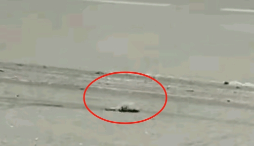 太惨了！心脏被撞出来了还在跳动...

近日，四川成都市双流区，一名年轻女性骑电