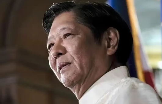 小马科斯出生于菲律宾的大家族马科斯家族，作为家里唯一的儿子，小马科斯被家族寄予厚