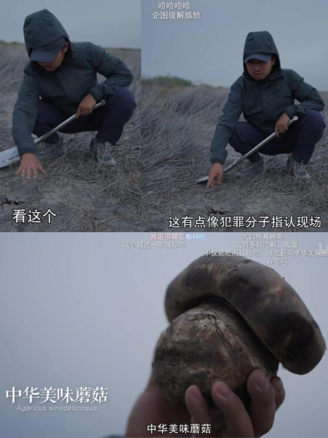 中国国家地理你糊涂，这么好的纪录片却