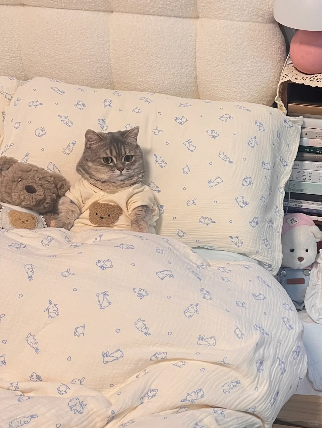 怪不得大家都不想养娃了
生活压力太大了
自己都自顾不暇
实在没有勇气养小孩儿
感