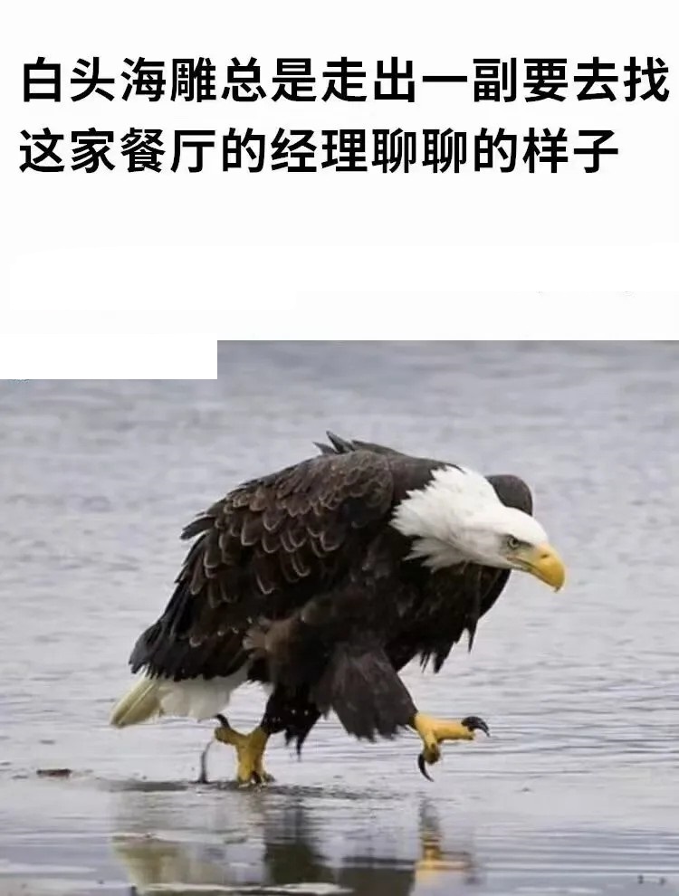 总是走出一副这个样子