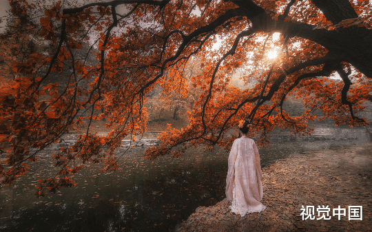 替心上人的白月光顶罪后，我杀疯了