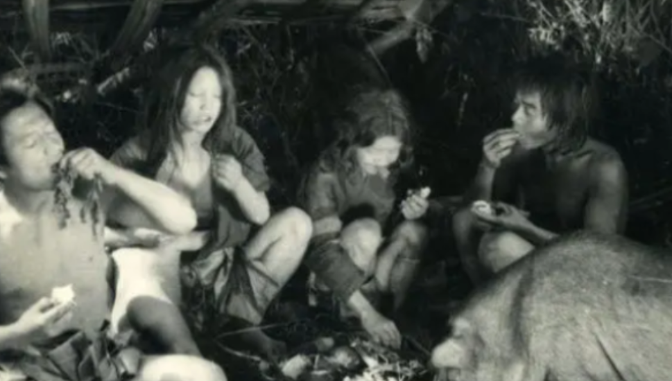 1956年，解放军在云南的森林中发现了一个形迹可疑的人，跟上去后竟发现了一群男女