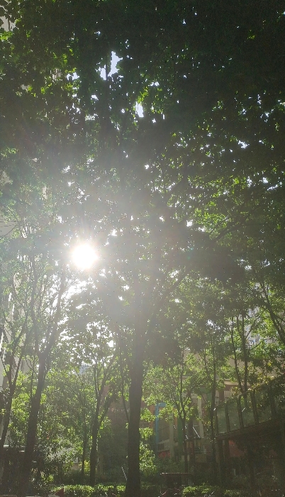 姐妹们，嫁人一定要看家风！我一个朋友结婚半年发现老公出轨了，她怒气冲冲地跟婆婆告