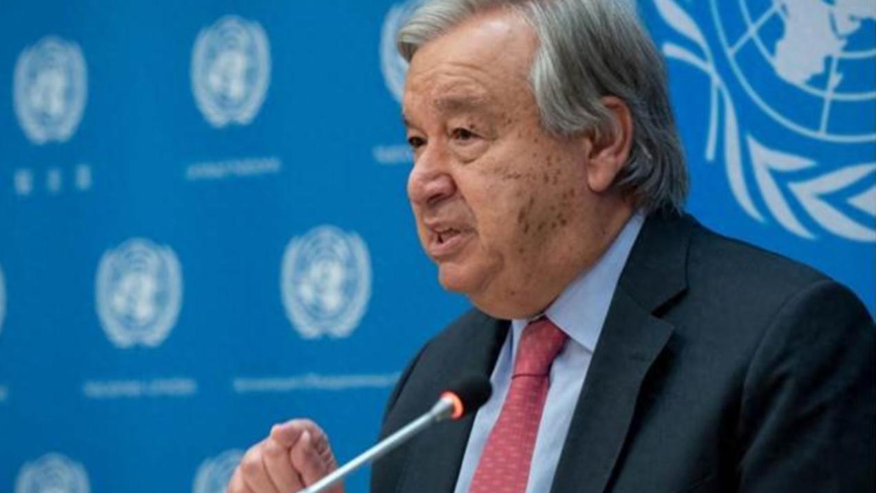 **全球时事速览：多国动态与地区局势**