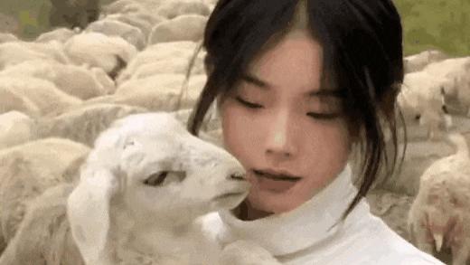 清纯玉女变翻车网红，噶羊少女如何从天堂跌入地狱？真相揭露，究竟是谁之过？