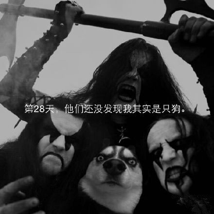 我的笑点已经没救了 ​ ​​​​
