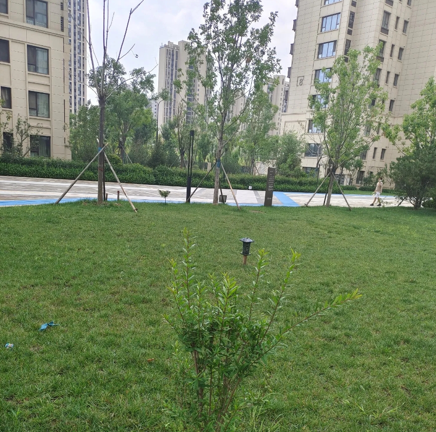 物业费1.96和物业费6元，两者的区别大吗？
   我家目前住的小区物业费是1.