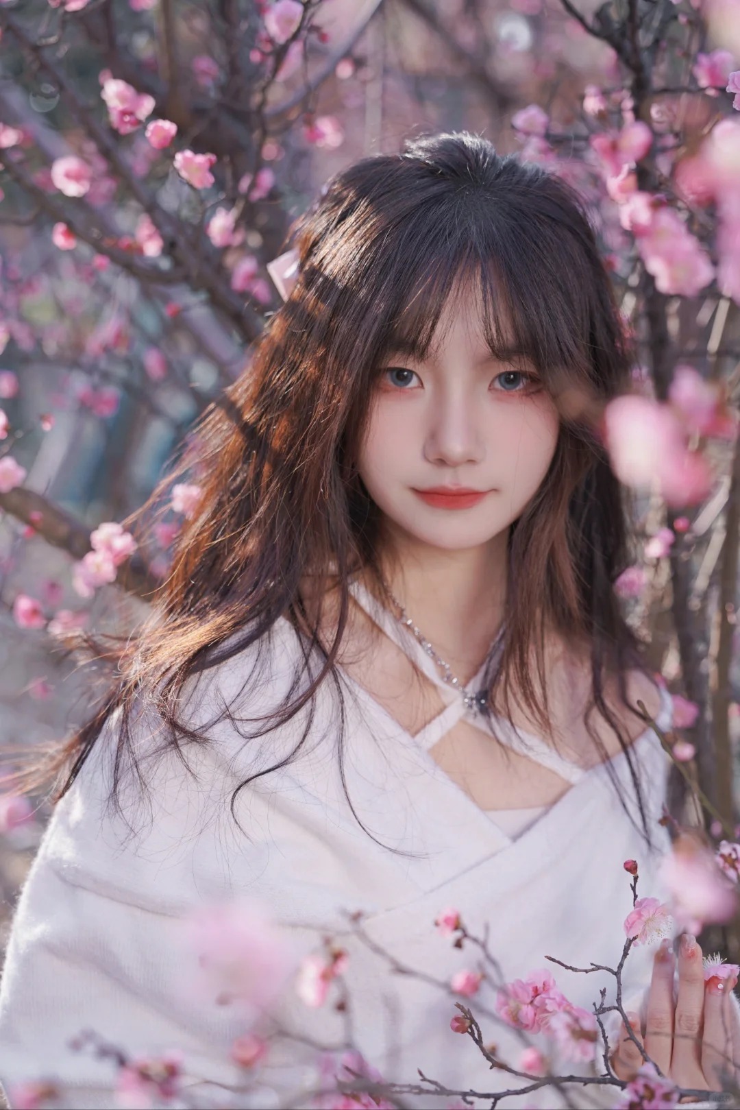 工大春季追花系列开始！
终于等到工大的花期，花季拍摄正式开始！希望后期能有时间出