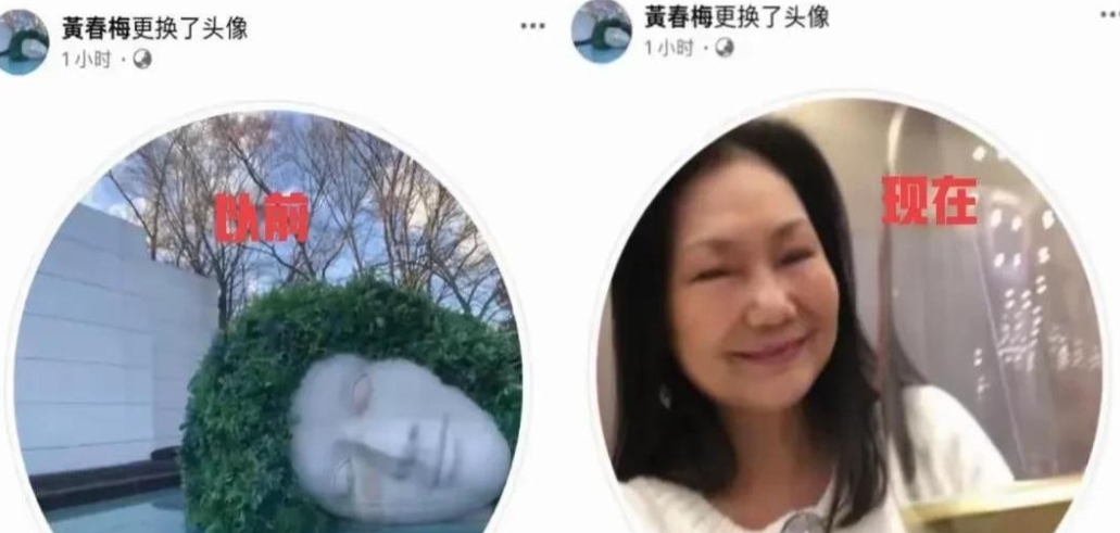 S妈最近的操作真让人看不懂了。

大S去世才十天，这位当妈的居然在情人节当天又是