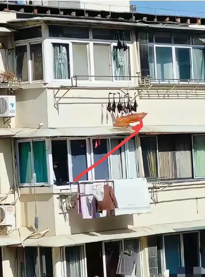 一把伞见人品，这户人家善良厚道！