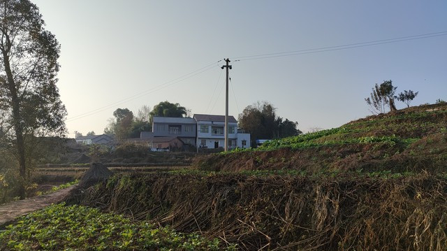 孝顺儿子花八千给父母买按摩椅，回家却被父母数落一顿，不如给钱