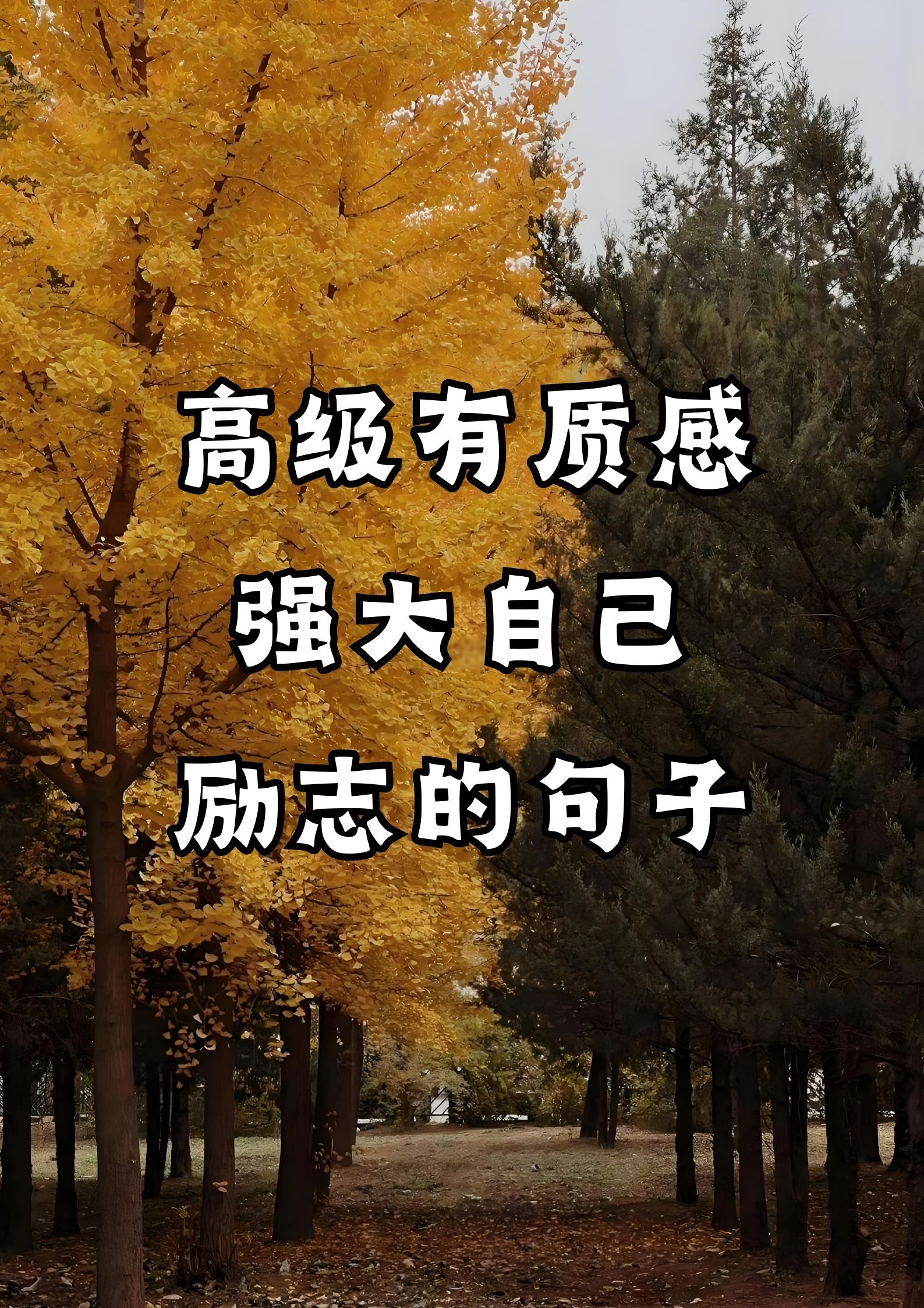 高级有质感，强大自己的励志句子