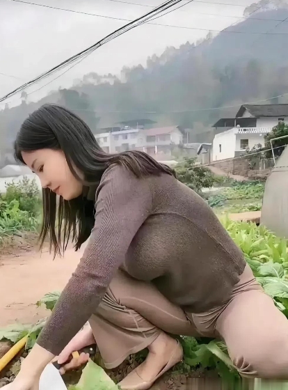 地这么肥沃，菜一定很甜吧？