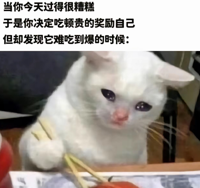 当你今天过的很糟糕时