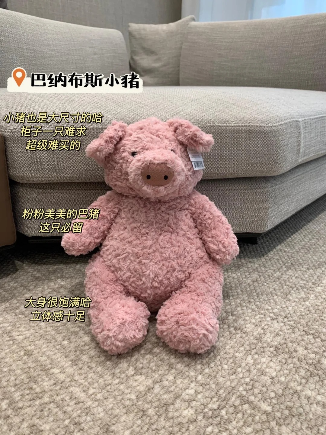 六一礼物推荐🎁我的命中情🐖jellycat