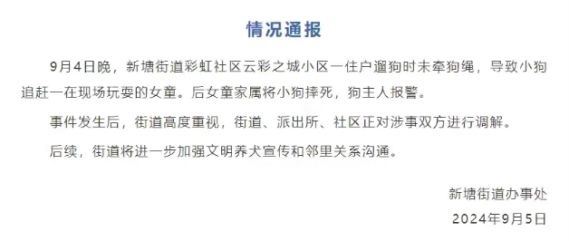 狗子追逐小女孩，小女孩吓得大哭，但狗主人不但不及时制止，反而觉得狗子是在和女孩玩