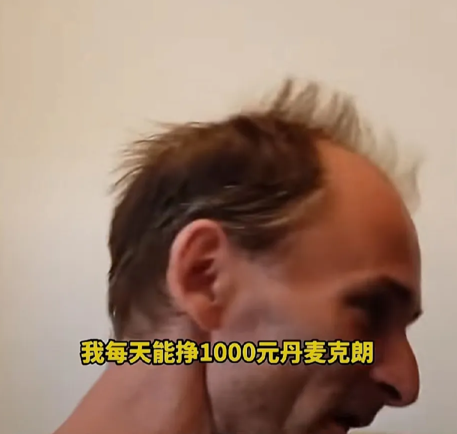 丹麦大叔捡瓶子日入一两千，年入50多万，中国网友不淡定了，倡议道：“咱组团去丹麦