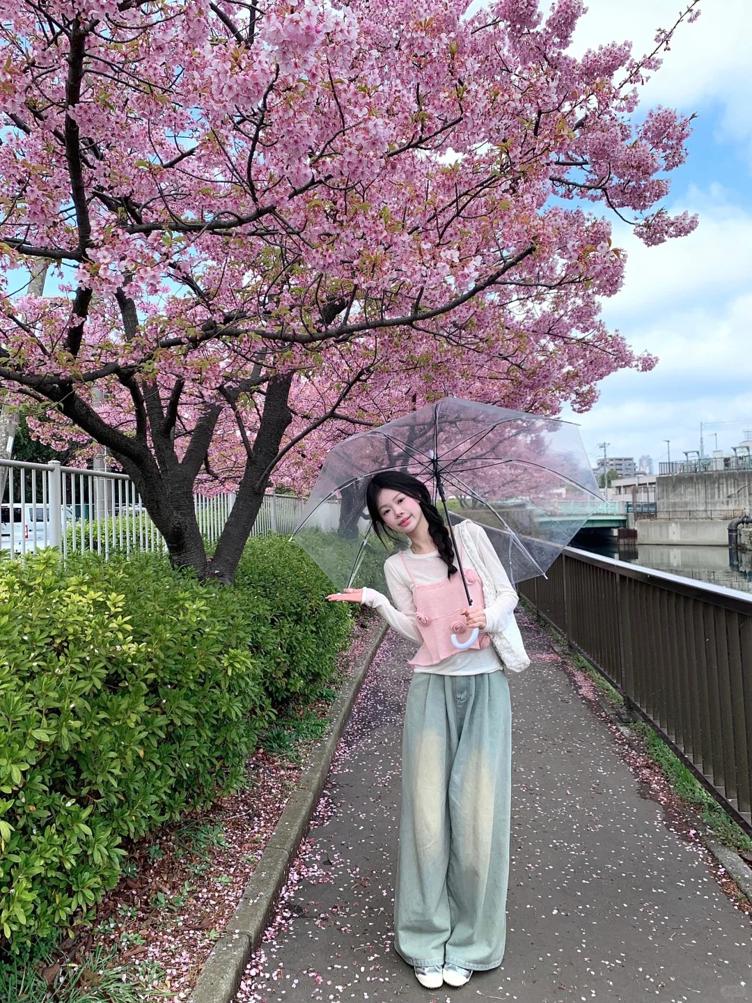 东京的早樱🌸
偶尔来一阵风就会下樱花雨 美呆了