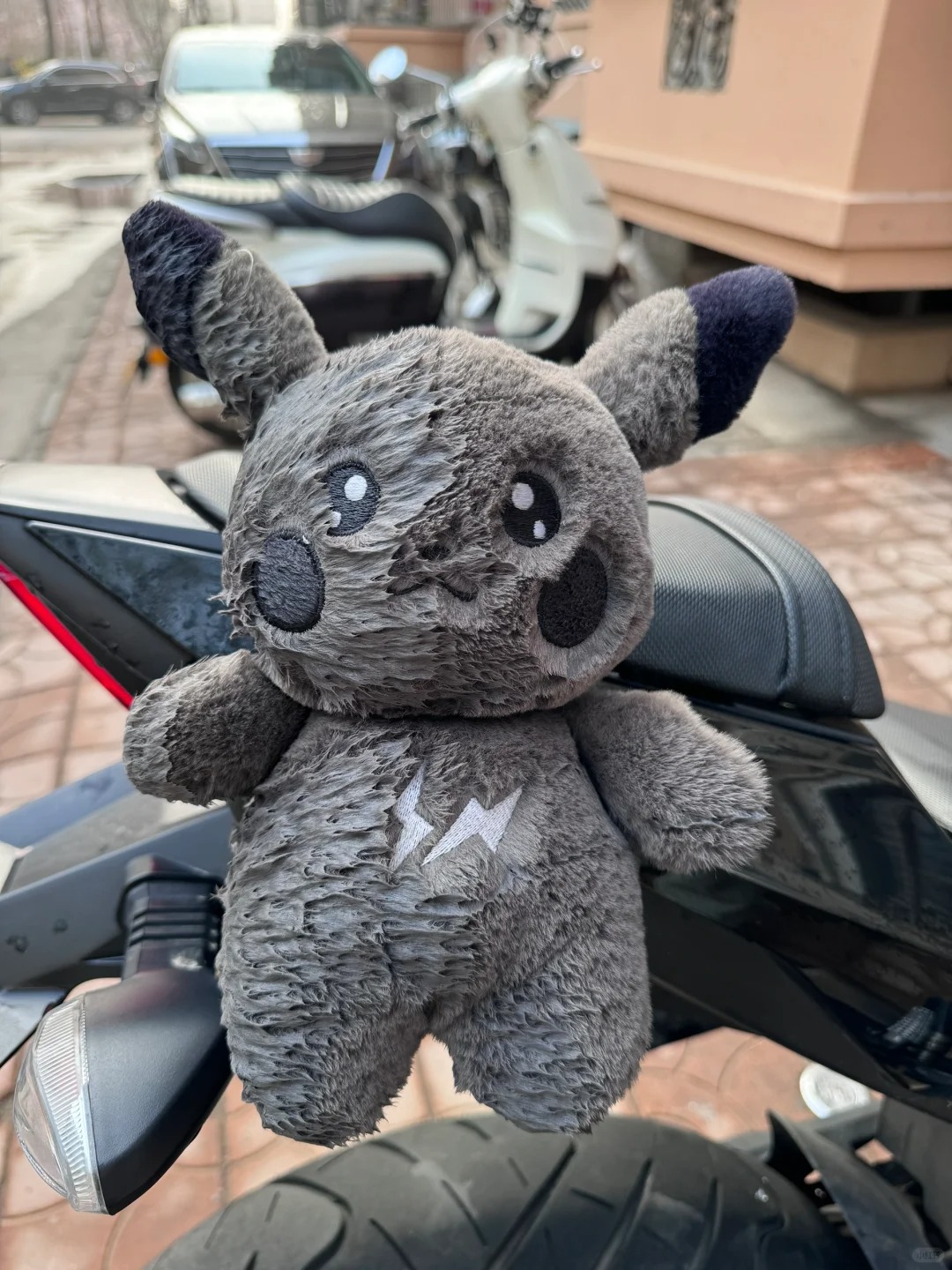 昨晚是谁扇了我的小黑一耳光